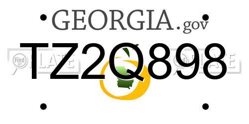TZ2Q898 Georgia License Plate