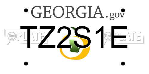 TZ2S1E Georgia License Plate