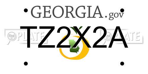 TZ2X2A Georgia License Plate