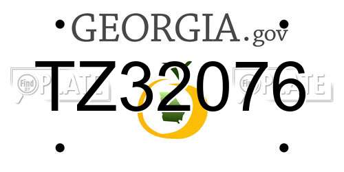 TZ32076 Georgia License Plate