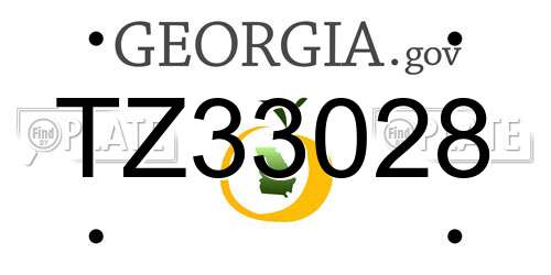 TZ33028 Georgia License Plate