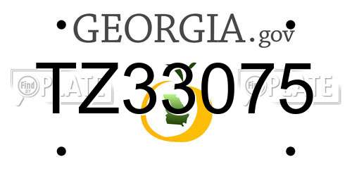 TZ33075 Georgia License Plate