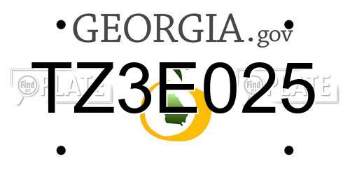 TZ3E025 Georgia License Plate