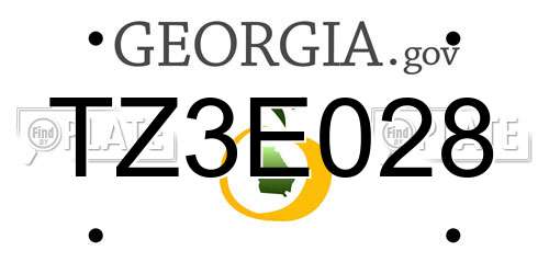 TZ3E028 Georgia License Plate