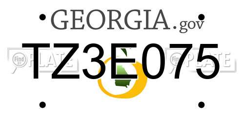 TZ3E075 Georgia License Plate
