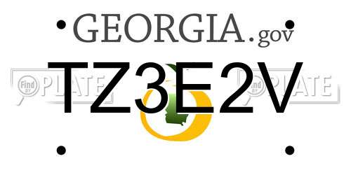 TZ3E2V Georgia License Plate