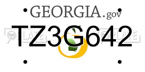 TZ3G642 Georgia License Plate