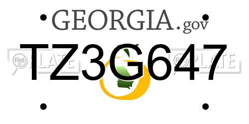 TZ3G647 Georgia License Plate