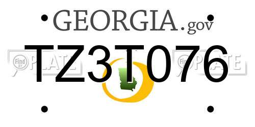 TZ3T076 Georgia License Plate