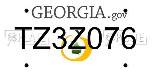 TZ3Z076 Georgia License Plate