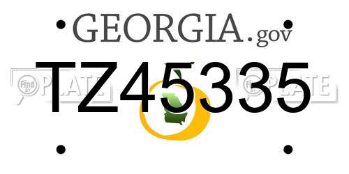 TZ45335 Georgia License Plate