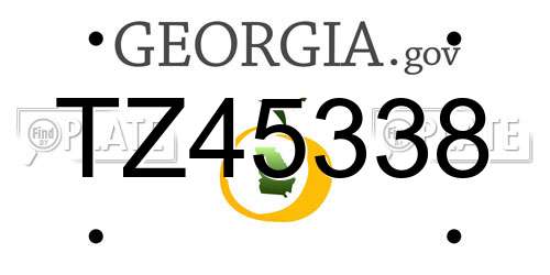TZ45338 Georgia License Plate