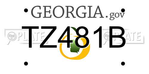TZ481B Georgia License Plate