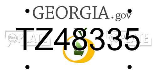 TZ48335 Georgia License Plate