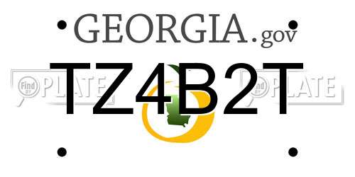 TZ4B2T Georgia License Plate