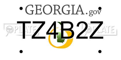 TZ4B2Z Georgia License Plate