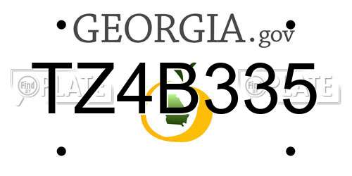 TZ4B335 Georgia License Plate