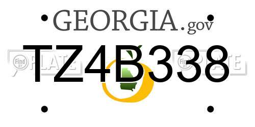 TZ4B338 Georgia License Plate