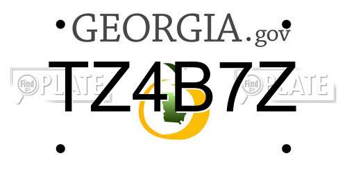 TZ4B7Z Georgia License Plate