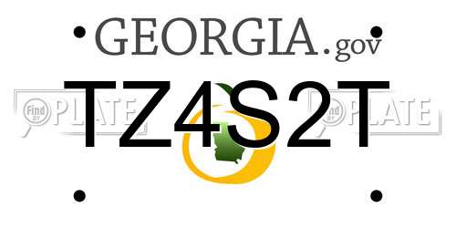 TZ4S2T Georgia License Plate