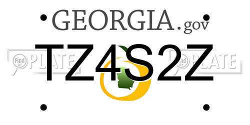 TZ4S2Z Georgia License Plate