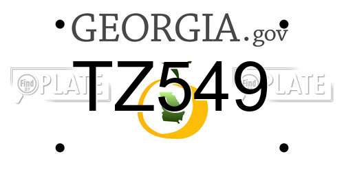 TZ549 Georgia License Plate