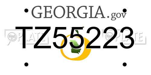 TZ55223 Georgia License Plate