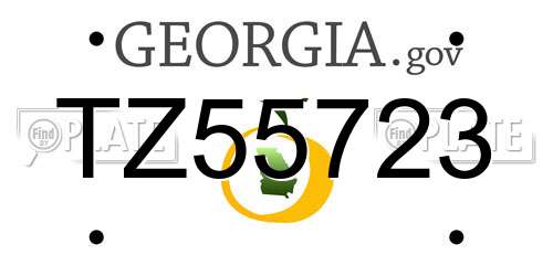 TZ55723 Georgia License Plate