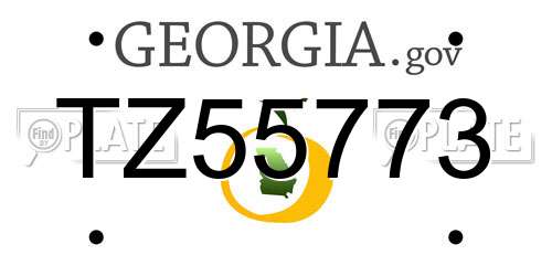 TZ55773 Georgia License Plate