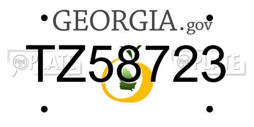 TZ58723 Georgia License Plate