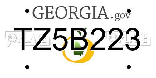 TZ5B223 Georgia License Plate