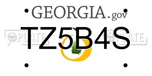 TZ5B4S Georgia License Plate