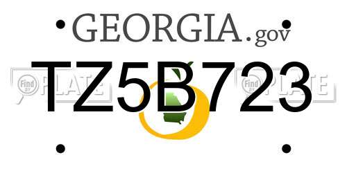 TZ5B723 Georgia License Plate