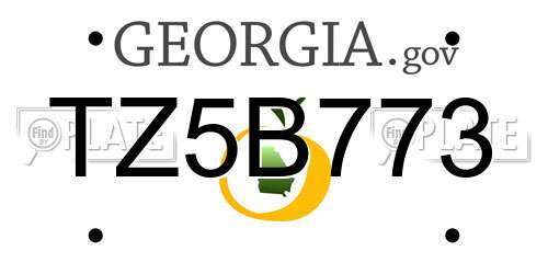 TZ5B773 Georgia License Plate