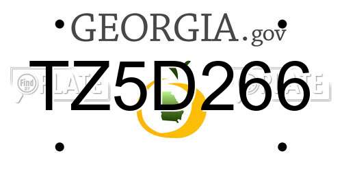 TZ5D266 Georgia License Plate