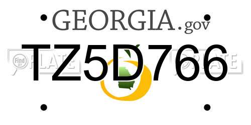 TZ5D766 Georgia License Plate
