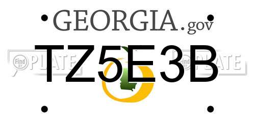 TZ5E3B Georgia License Plate