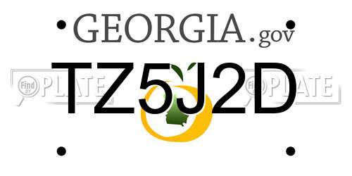 TZ5J2D Georgia License Plate