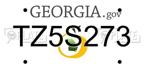 TZ5S273 Georgia License Plate