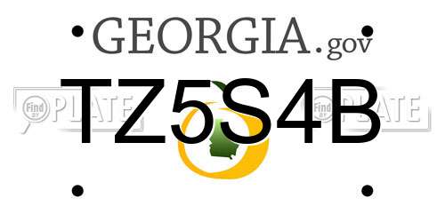 TZ5S4B Georgia License Plate