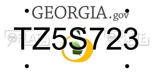 TZ5S723 Georgia License Plate
