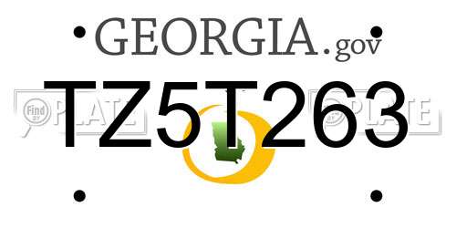 TZ5T263 Georgia License Plate