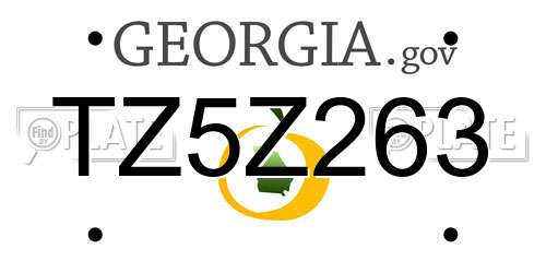 TZ5Z263 Georgia License Plate