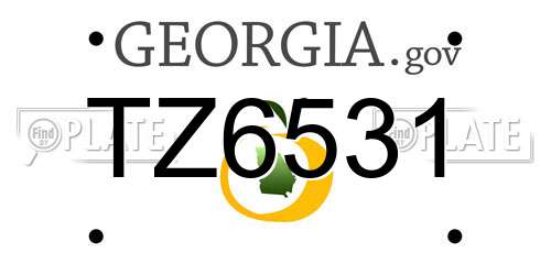 TZ6531 Georgia License Plate