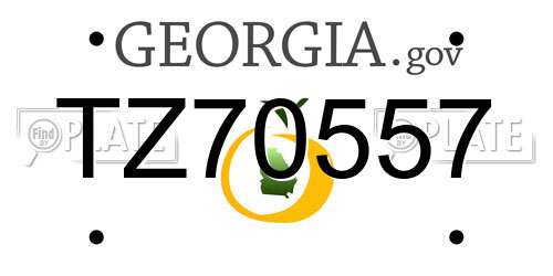 TZ70557 Georgia License Plate