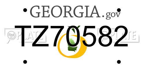 TZ70582 Georgia License Plate