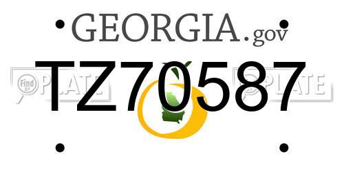 TZ70587 Georgia License Plate