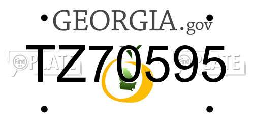 TZ70595 Georgia License Plate