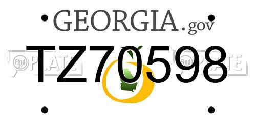 TZ70598 Georgia License Plate