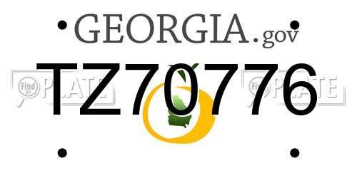 TZ70776 Georgia License Plate